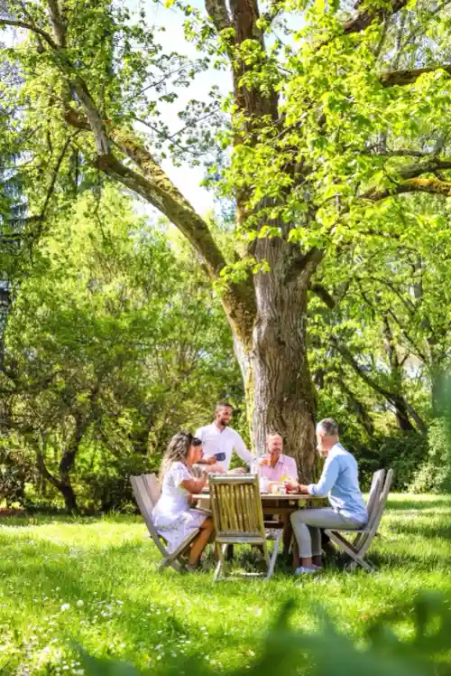 arbre maison chambres hotes ecoresponsable toulouse tarn occitanie